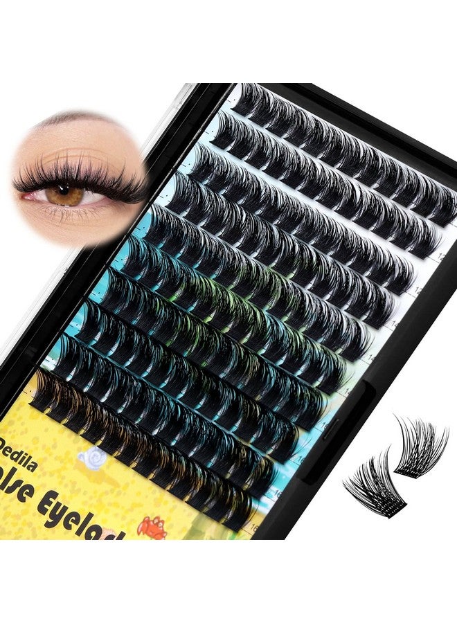 ديدلا مجموعة رموش صناعية فردية من  Large Pack Cluster Eyelash Extensions ذات سيقان عريضة ومجعدة ومختلطة 10-12-14-16 مم /12-14-16 مم /14-16-18 مم مجموعة رموش صناعية فردية ذات حجم كبير (مختلطة 12-14-16 مم) - Image 2