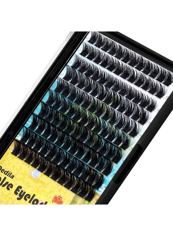ديدلا مجموعة رموش صناعية فردية من  Large Pack Cluster Eyelash Extensions ذات سيقان عريضة ومجعدة ومختلطة 10-12-14-16 مم /12-14-16 مم /14-16-18 مم مجموعة رموش صناعية فردية ذات حجم كبير (مختلطة 12-14-16 مم) - Image 3