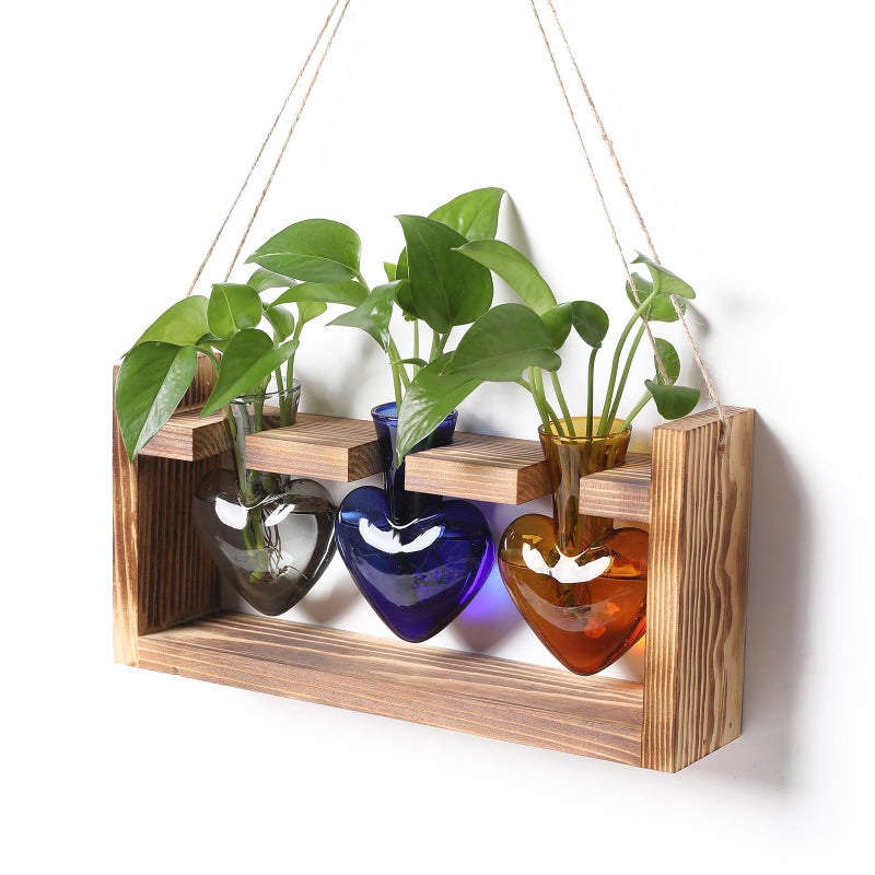 MTsigns Plant Terrarium Propagation Stations Hydroponics Home Garden Decoration Gift for Women with Wooden Stand Heart Shaped Colored Glass Vase - Image 1