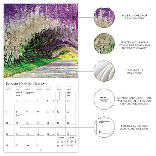 Graphique 2024 In the Garden Mini Wall Calendar | 7” x 7” | Thick Paper | Home & Office Organizer | Large Monthly Grid | 3 Languages & Marked Holidays | 4 Month Preview Page for 2025 - Image 3