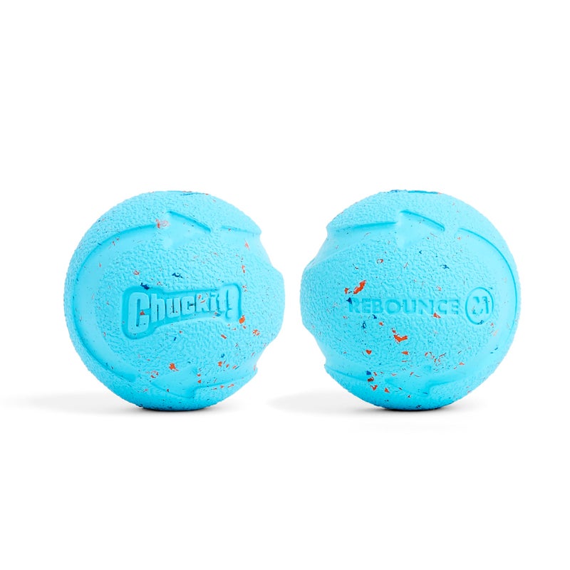 Chuckit! Medium Rebounce Ball 2.5", 2 Pack, Blues & Purples (20320) - Image 1