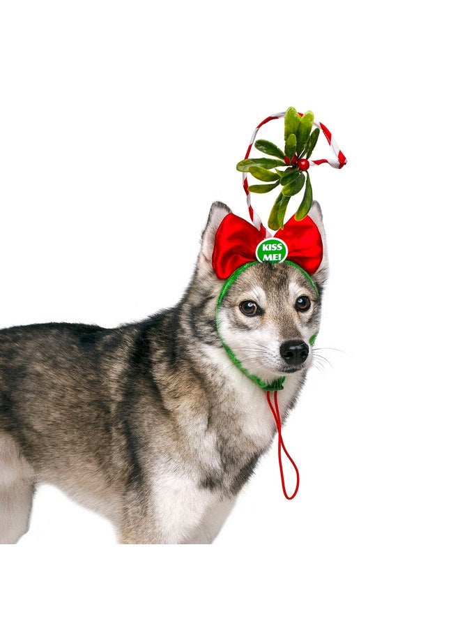 ميدلي زي عصابة رأس الكلب من Midlee Christmas Mistletoe - Image 5
