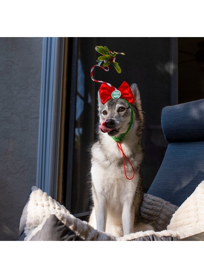 ميدلي زي عصابة رأس الكلب من Midlee Christmas Mistletoe - Image 4
