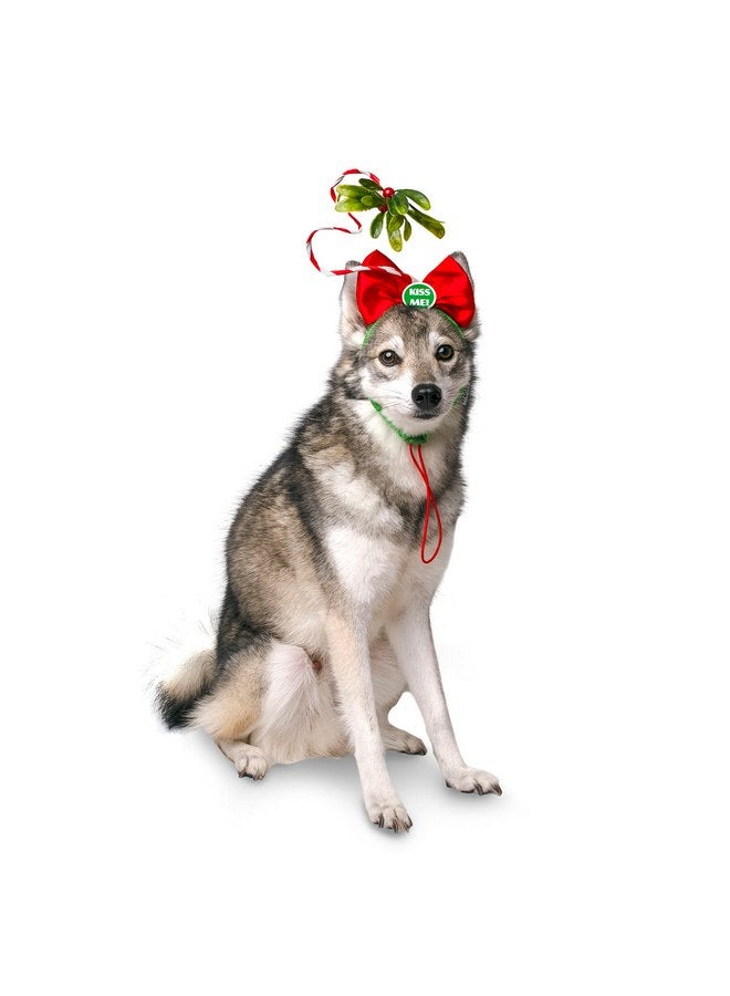 ميدلي زي عصابة رأس الكلب من Midlee Christmas Mistletoe - Image 2