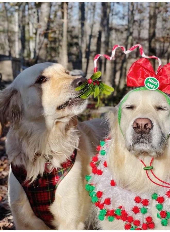 ميدلي زي عصابة رأس الكلب من Midlee Christmas Mistletoe - Image 3