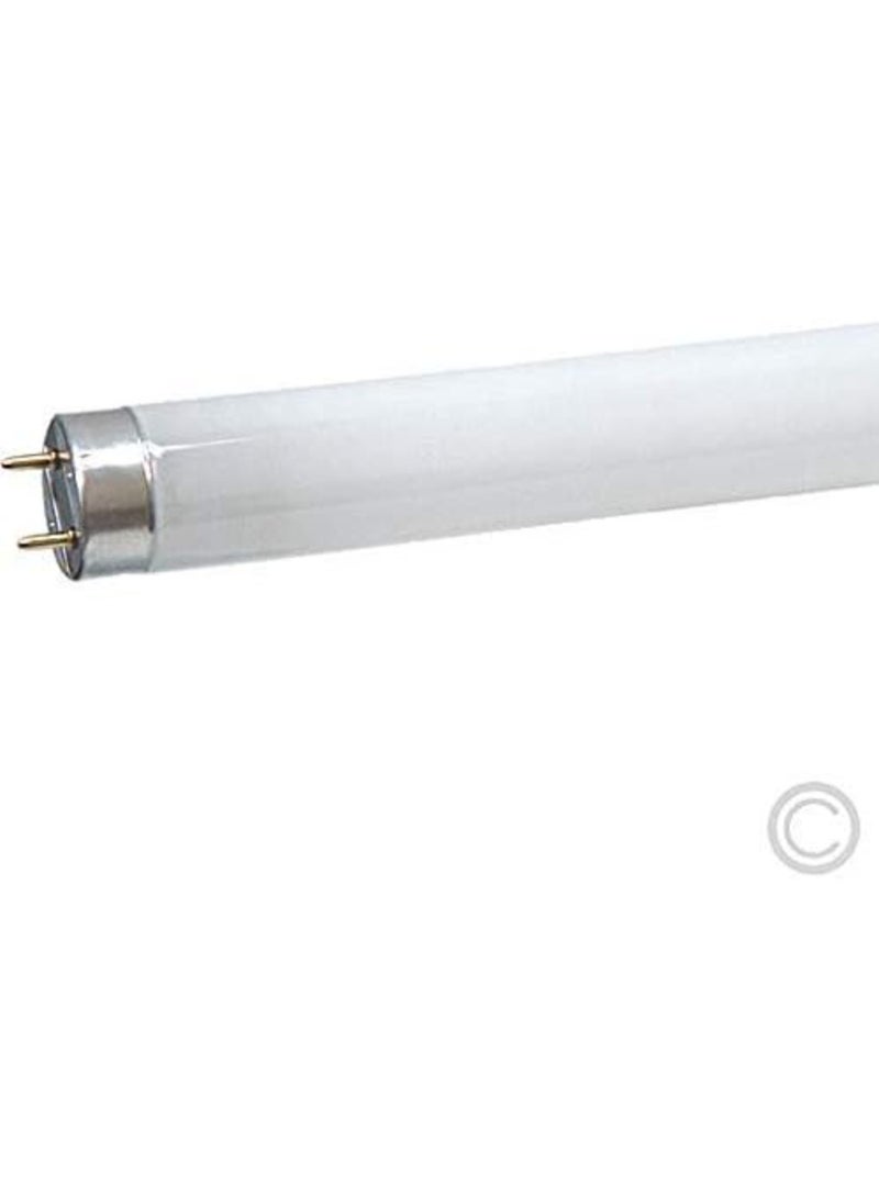 Osram/ Ledvance Fluorescent Tube Light Triphosphor 18 Watts T8 L 6500k Daylight G13 Base 0.6 m- Pack of 10 - Image 3