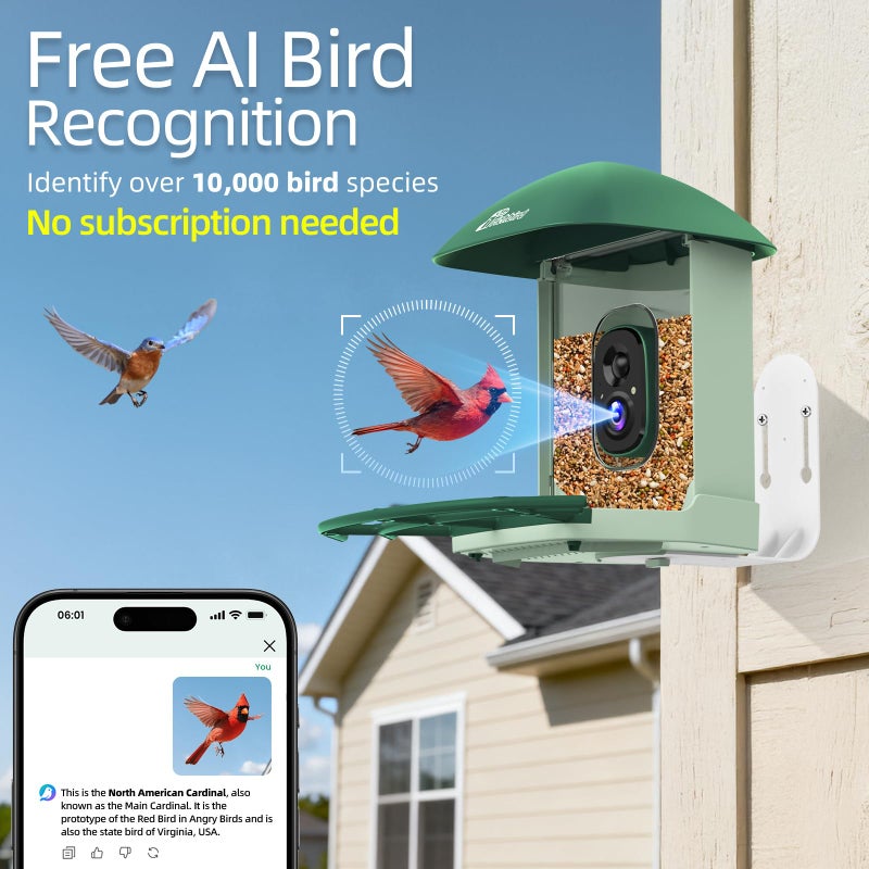 RichBird Smart Bird Feeder with 4MP HD Camera, Birdwatching Camera with Free AI Identify Birds & Solar Panel for Outdoors, Auto Video Capture & Instant Notifications, Green - Image 5