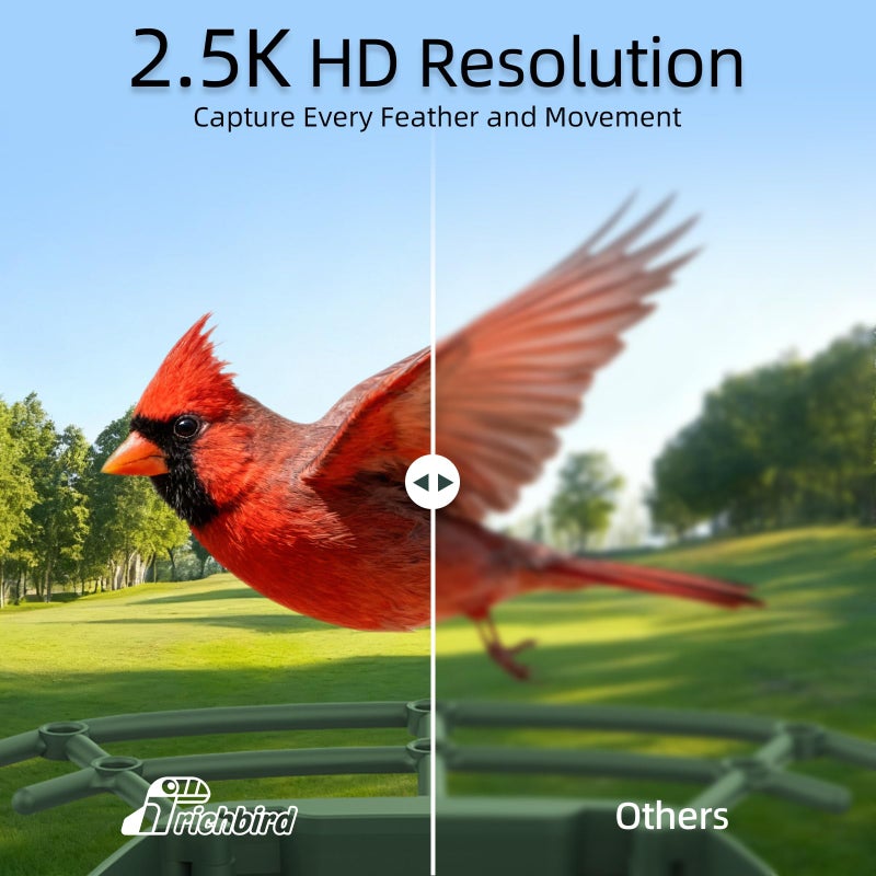 RichBird Smart Bird Feeder with 4MP HD Camera, Birdwatching Camera with Free AI Identify Birds & Solar Panel for Outdoors, Auto Video Capture & Instant Notifications, Green - Image 3