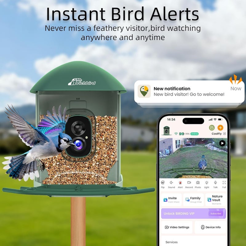 RichBird Smart Bird Feeder with 4MP HD Camera, Birdwatching Camera with Free AI Identify Birds & Solar Panel for Outdoors, Auto Video Capture & Instant Notifications, Green - Image 2