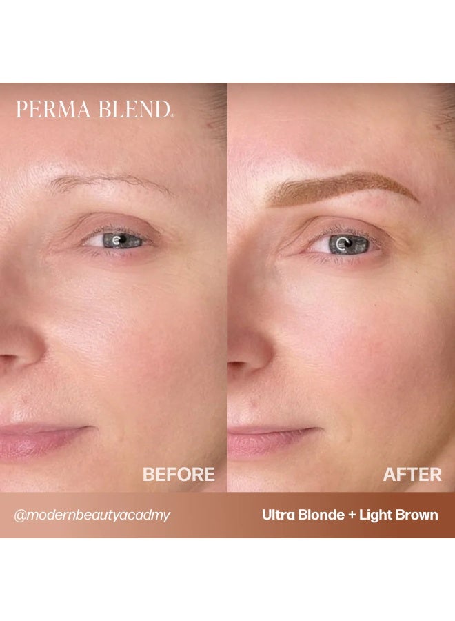 Perma Blend Eyebrow Pigment Set – Perma Blend Sun Kissed Palette 8x15ml | Professional Permanent Makeup Brow Tattoo Ink Collection with Color Chart | Vegan, High Retention, Microblading & Ombre Brows - Image 5