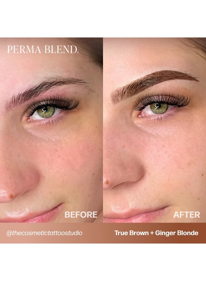 Perma Blend Eyebrow Pigment Set – Perma Blend Sun Kissed Palette 8x15ml | Professional Permanent Makeup Brow Tattoo Ink Collection with Color Chart | Vegan, High Retention, Microblading & Ombre Brows - Image 4