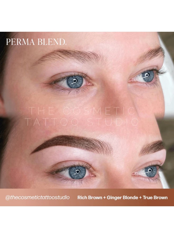 Perma Blend Eyebrow Pigment Set – Perma Blend Sun Kissed Palette 8x15ml | Professional Permanent Makeup Brow Tattoo Ink Collection with Color Chart | Vegan, High Retention, Microblading & Ombre Brows - Image 3