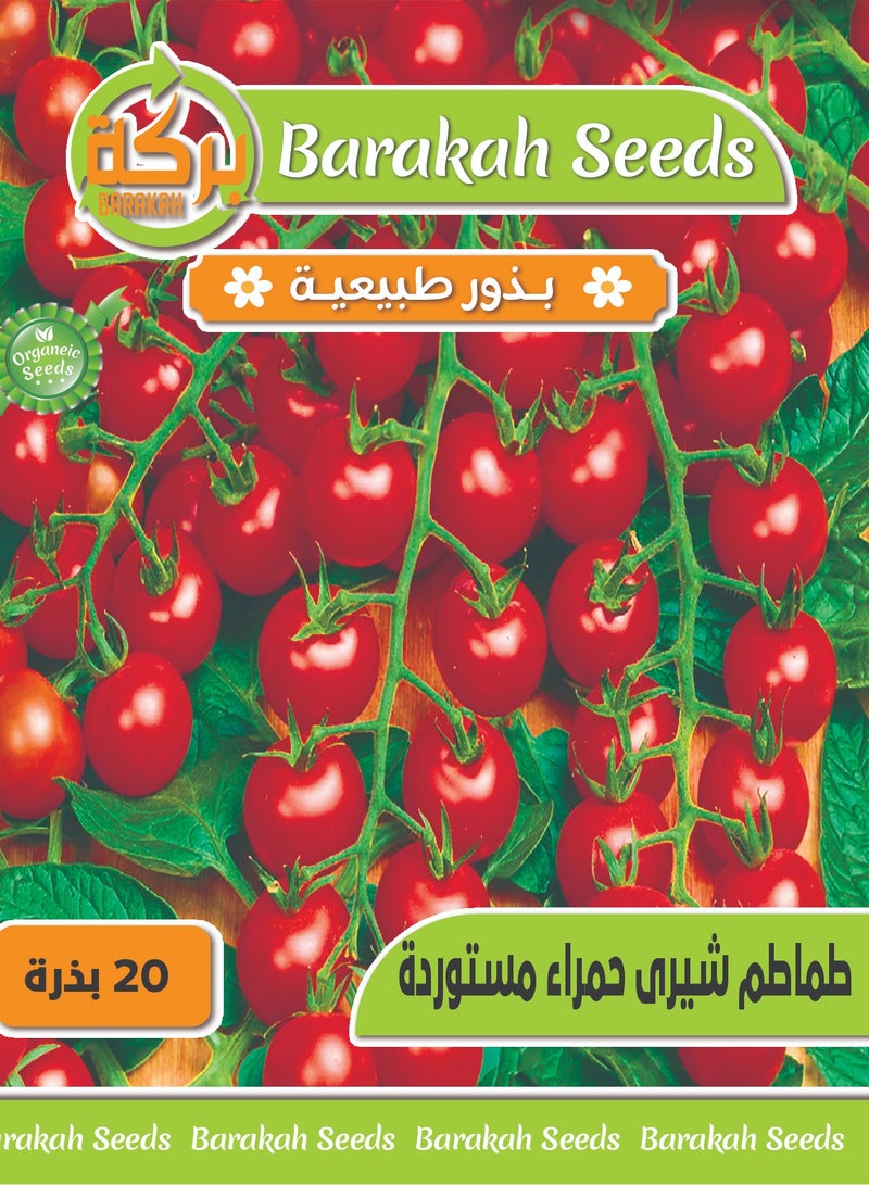 ماركة غير محددة بذور طماطم شيري حمراء 