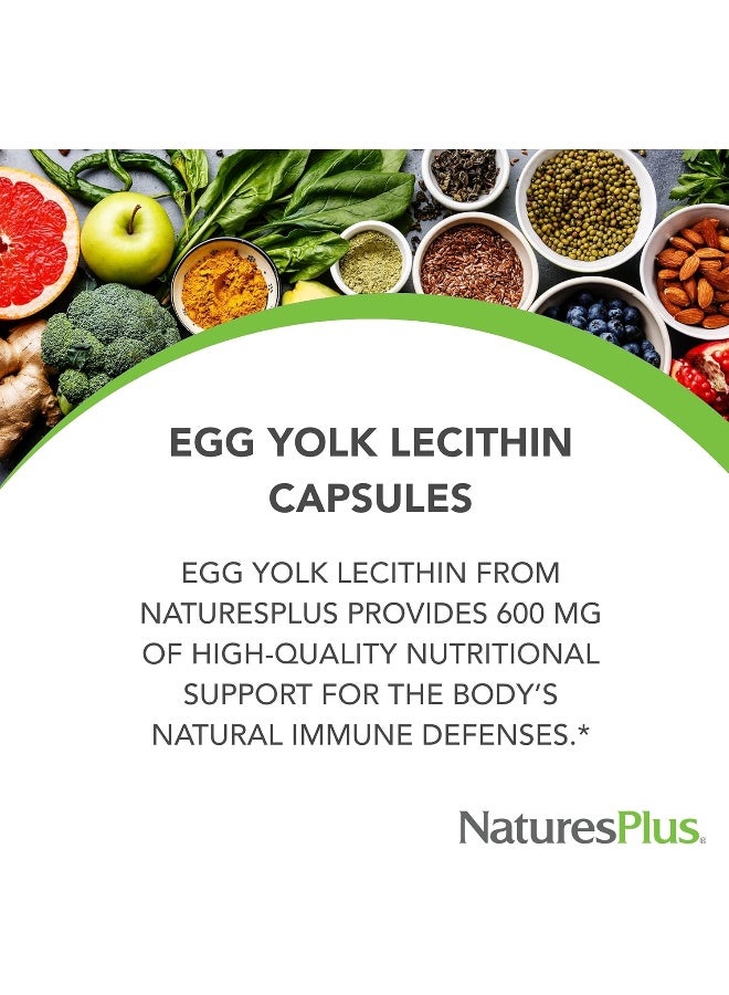 Nature's Plus NaturesPlus, Egg Yolk Lecithin, 300 mg, 180 Capsules - Image 3