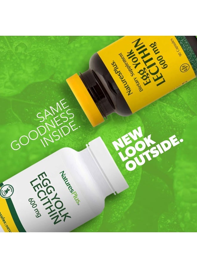 Nature's Plus NaturesPlus, Egg Yolk Lecithin, 300 mg, 180 Capsules - Image 2
