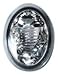 TYC TYC 17-5031-01 Pontiac Grand AM Driver/Passenger Side Replacement Backup Lamp  - Image 2