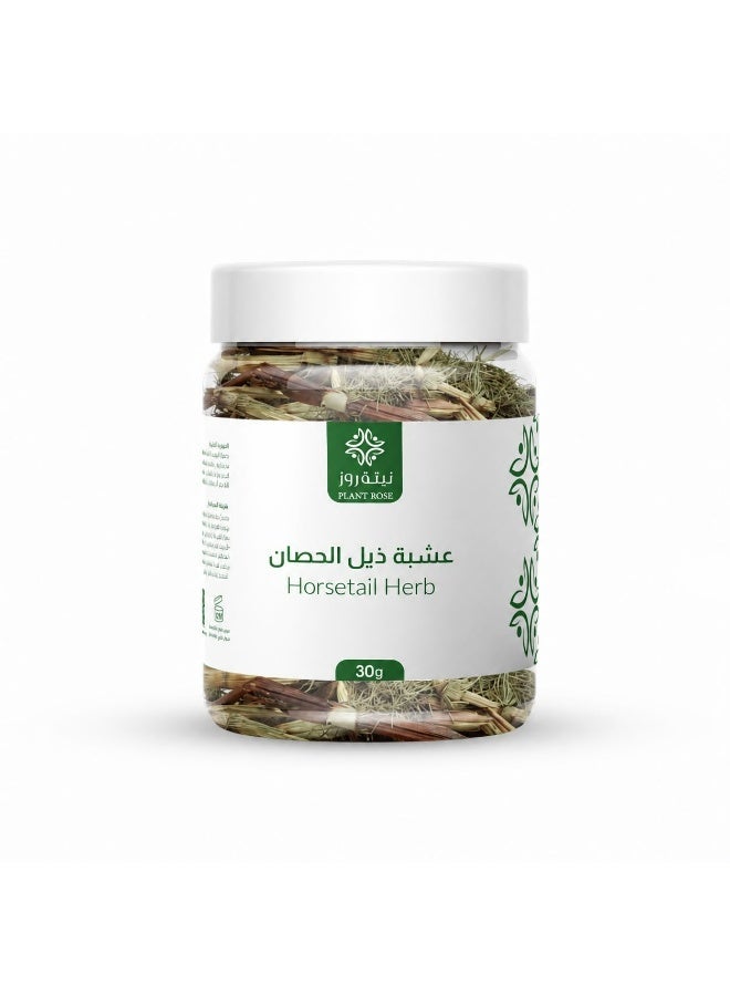 عشبة ذيل الحصان 30 جرام