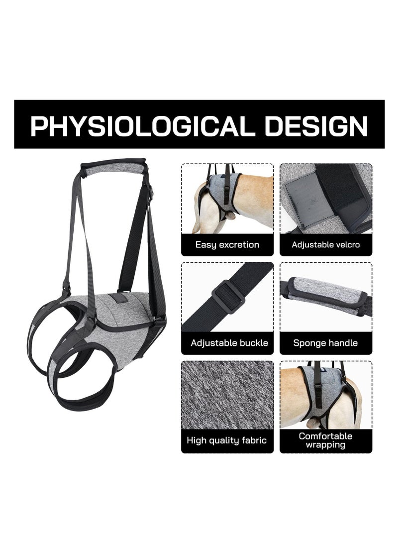 Adjustable Dog Lift Harness for Medium to Large Dogs, Comfortable Support Sling for Back Legs, Ideal for Elderly, Injured, Arthritic, and Disabled Pets with Padded Design.  - Image 3