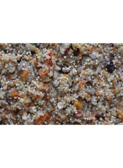 HigginS Higgins Worldly Cuisines Spice Market Bird Treat, 2 Ounces (3 Pack)  - Image 3
