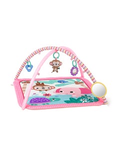 Bright Starts Value Activity Gym  - Image 1