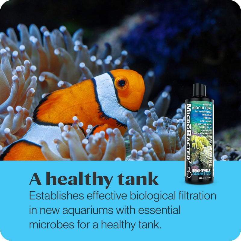 Brightwell Aquatics MicroBacter7 Complete Bioculture for Fish Tank or Aquarium - Populates Biological Filter Media for Saltwater and Freshwater Fish - Aquarium Water Treatments, 4.2 fl oz - Image 1