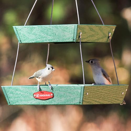 Kingsyard 2 Tier Large Platform Bird Feeders for Outdoors Hanging 5 lbs Capacity Recycled Plastic Flat Mealworm Bird Feeder Tray Garden Decoration Attracting Cardinal Blue Jay Green - Image 3