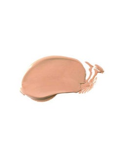 RADIANT PROFESSIONAL MAKE UP / HELLENICA Radiant Professional Natural Fix All Day Matte Cream Foundation Long Wear High Coverage Face Makeup Foundation With Spf 15 Oil Free Matte Finish For All Skin Types1.01 Oz. (3 Beige)  - Image 3