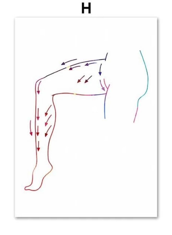 Hair Anatomy Art Physiology Of Hair Poster And Print Epilation Cosmetologist Gift Canvas Painting Wall Picture Beauty Room Decor - Image 1