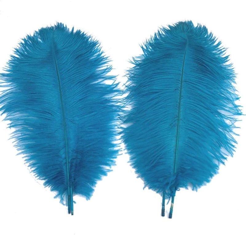 Sowder 5pcs Ostrich Feathers 16-18inch(40-45cm) Home Wedding Decoration(Turquoise) - Image 1