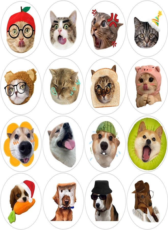 Hohamn 600 Pcs Funny Cat Dog Stickers for Kids 1.5 Inch 16 Styles Funny Meme Cat Dog Stickers Roll for Kids Boys Girls Birthday Party School Reward Giveaways - Image 1