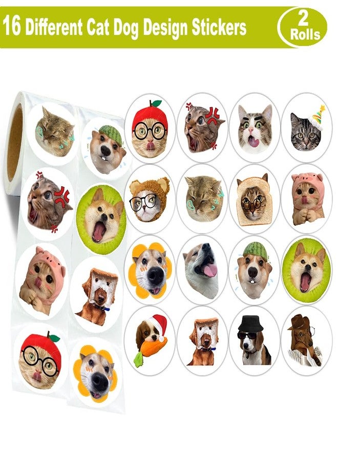 Hohamn 600 Pcs Funny Cat Dog Stickers for Kids 1.5 Inch 16 Styles Funny Meme Cat Dog Stickers Roll for Kids Boys Girls Birthday Party School Reward Giveaways - Image 2