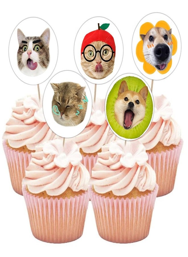 Hohamn 600 Pcs Funny Cat Dog Stickers for Kids 1.5 Inch 16 Styles Funny Meme Cat Dog Stickers Roll for Kids Boys Girls Birthday Party School Reward Giveaways - Image 5