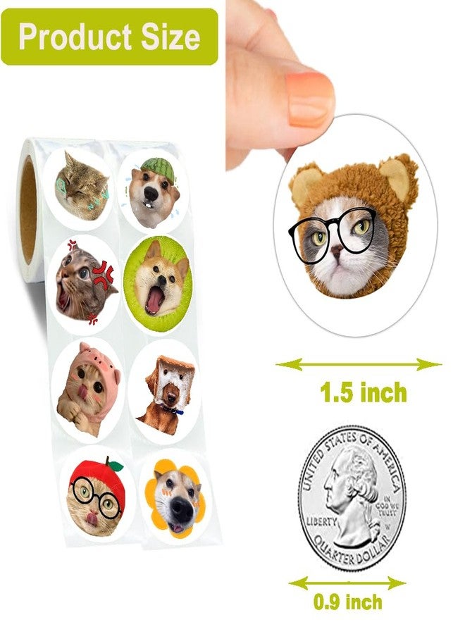 Hohamn 600 Pcs Funny Cat Dog Stickers for Kids 1.5 Inch 16 Styles Funny Meme Cat Dog Stickers Roll for Kids Boys Girls Birthday Party School Reward Giveaways - Image 3