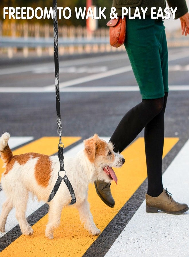 BINGPET Dog Harness Collar Leash Set,Adjustable No Pull Escape Proof Small Dog Harness,Classic Plaid Puppy Harness and Leash Set for Small Medium Large Dogs Training Easy Walk Running - Image 2