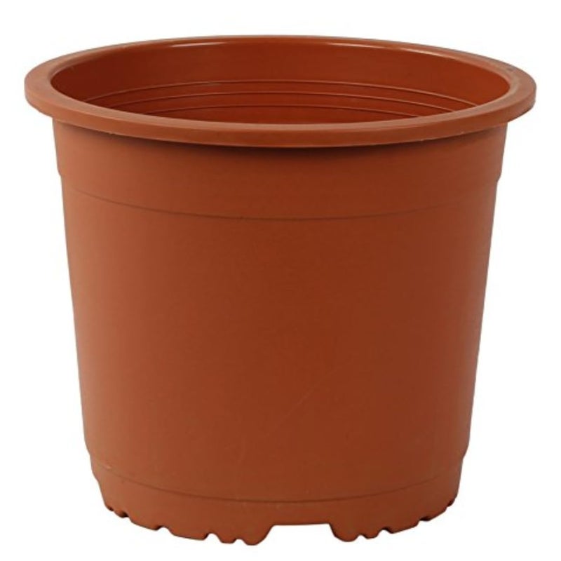 CAPPL Teracotta Sunrise Pot 19.5 cm (Pack of 12) - Image 4