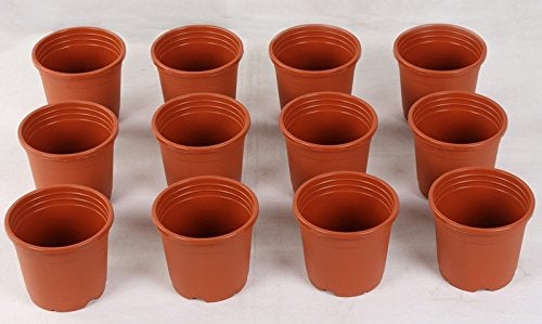 CAPPL Teracotta Sunrise Pot 19.5 cm (Pack of 12) - Image 3