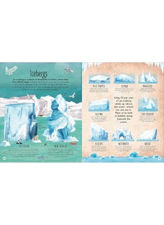 The Frozen Worlds: The Astonishing Nature of the Arctic and Antarctic  - Image 5