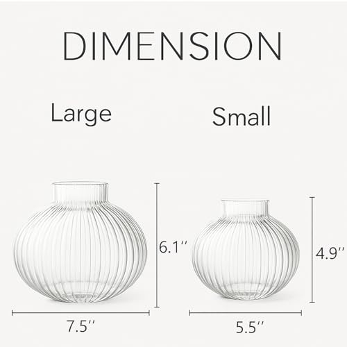 YANWE1 Round Glass Vases Set of 2, Flower Vases for Bouquet, Ribbed Glass Vase for Flowers, Small Clear Vase for Living Room, Office, Coffee Table, Shelf, Wedding - Image 5