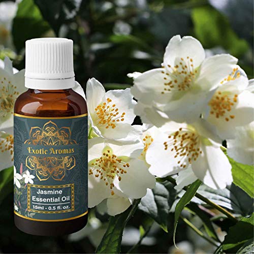 Exotic Aromas Jasmine Essential Oil (15Ml + 15Ml) Pack of 2 - Image 2