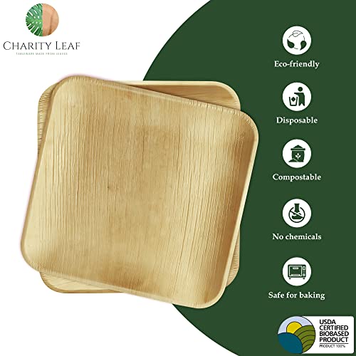 Charity Leaf Compostable 10" Square Palm Leaf Dinner Plates (50-pack) | Premium, 100% Natural, Disposable, Heavy Duty | Perfect for Parties, Weddings & Catering Events - Image 2