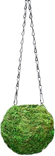SuperMoss (29348) Kokedama Planter, 6", Fresh Green - Image 1