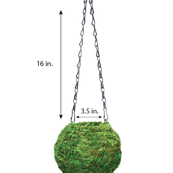 SuperMoss (29348) Kokedama Planter, 6", Fresh Green - Image 2