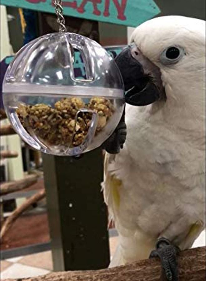 Parrot Creative Foraging Toy Feeder Bird Cage - Image 3