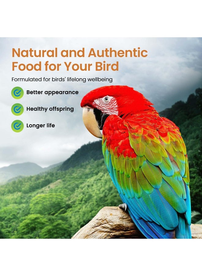 Harrison's Bird Foods Harrison's Bird Foods High Potency Coarse Certified Organic Non GMO Formula Pet Bird Food 1lb  - Image 3