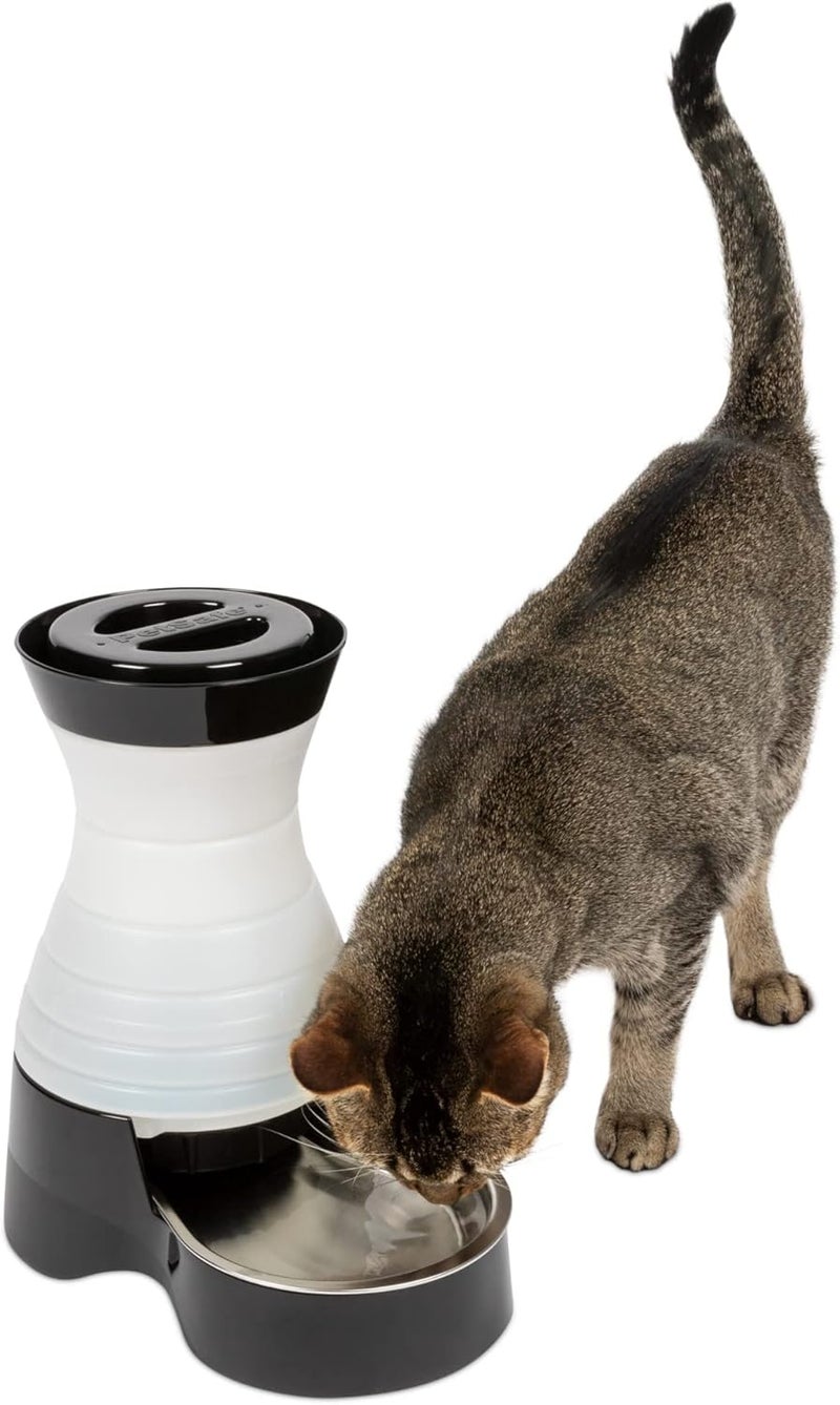 PetSafe Healthy Pet Water Station - Small, 64 oz Capacity, Gravity Waterer for Cats and Dogs with Stainless Steel Bowl - Image 1