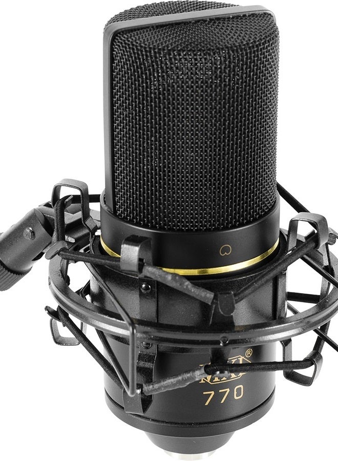 770 Multipurpose Large Diaphragm Condenser Microphone