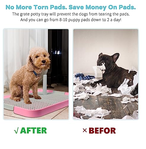 CUHIOY Dog Potty Tray Toilet 20x14 Doggy Bathroom Dog Litter Box Indoor Pee Pad Holder with 8pcs Training Pads Puppy Pee Mesh Potty Training Tray with Secure Latch Potty Pan for Small Medium Puppies - Image 3