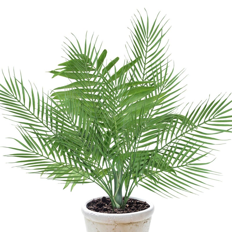 N2 18 فرع 27 بوصة صناعي [نخيل] [أوراق] 6 قطع كبيرة من النباتات الاصطناعية / المزيفة الخضراء [نخيل] لأغراض ترتيب الزفاف [نخيل] وزينة حفلات الغابة - Image 5