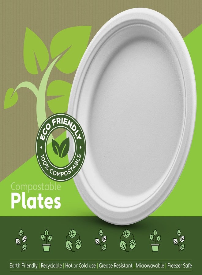 Munfix 100% Compostable Paper Plates Heavy Duty -150 Pack Biodegradable Disposable Plates - 9 Inch White Disposable Dinner Plates Made of Eco-Friendly, Natural Sugarcane Bagasse, Microwavable Plates Bulk - Image 2