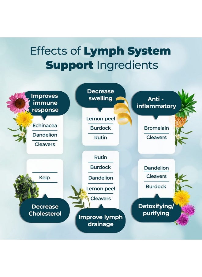 PUREHEALTH RESEARCH Lymph System Support Supplement - Lymphatic Drainage Supplement with Dandelion Extract, Cleavers, Burdock Powder - Reduce Swelling and Cleanse Lymph - 1 Bottle, Brown